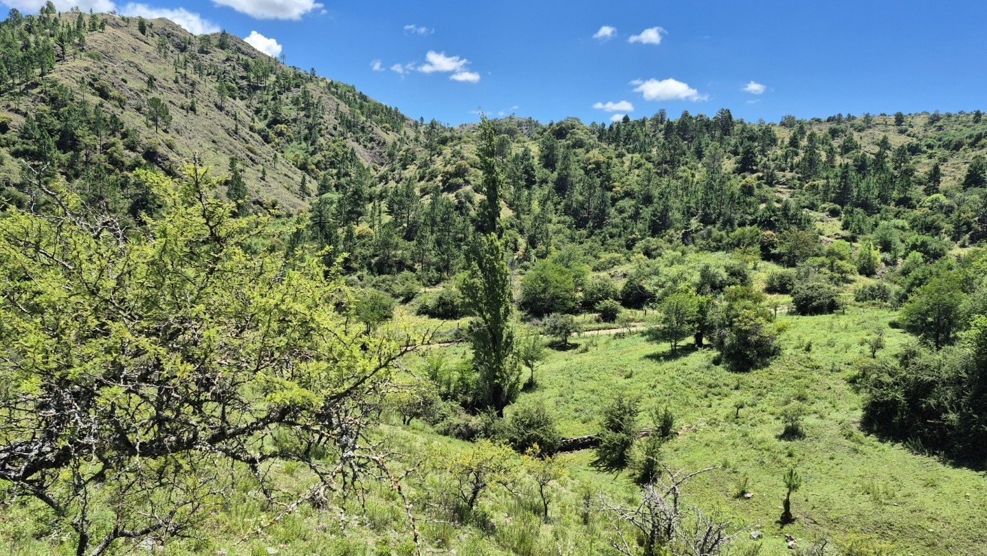 Terreno de 0,5 ha en El Campito (Terreno)