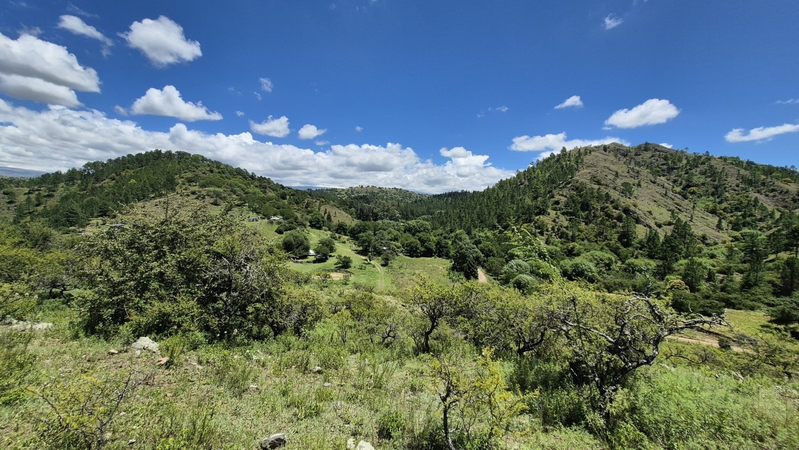 Terreno de 0,5 ha en El Campito (Terreno): foto 2