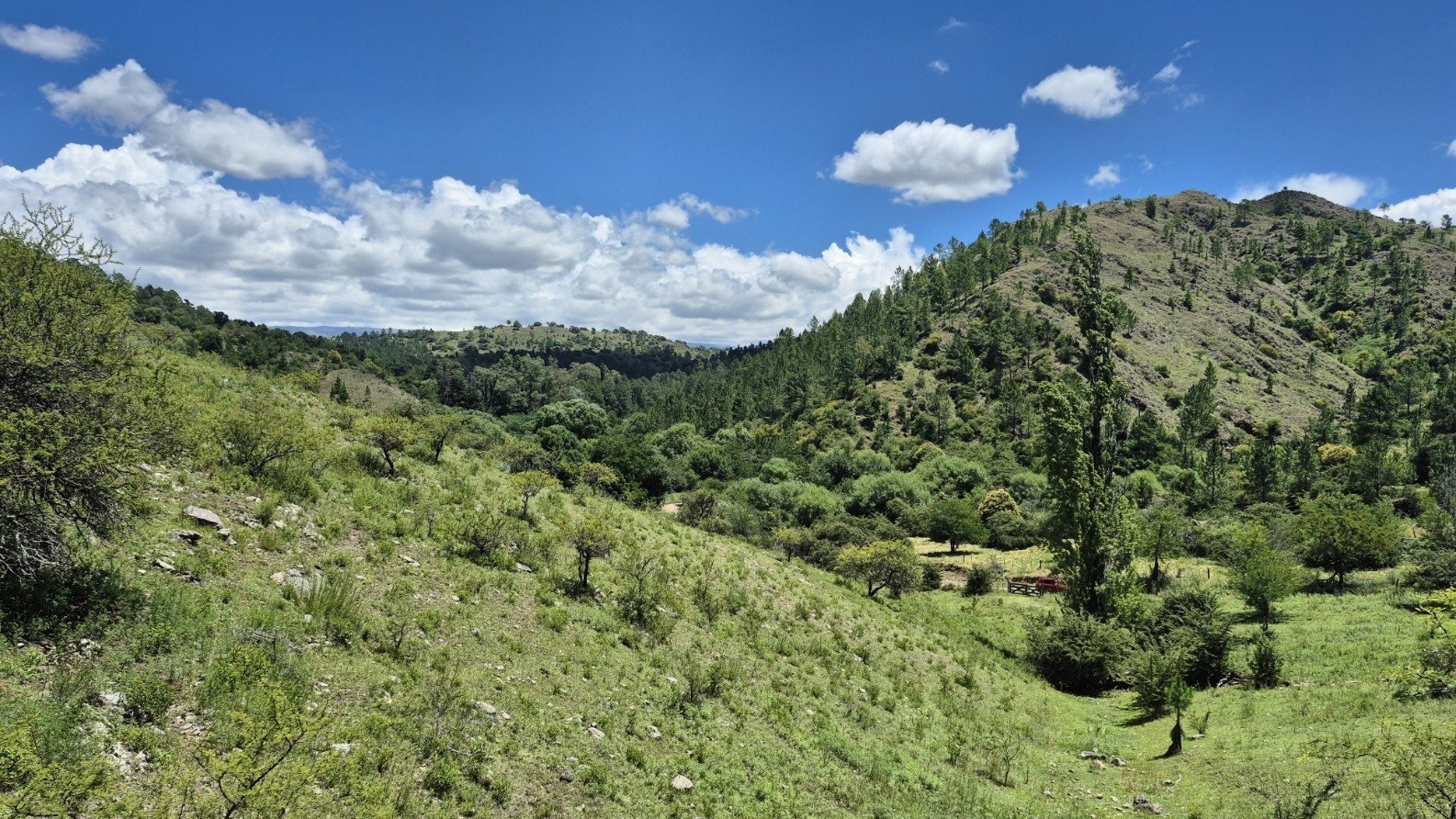 Terreno de 0,5 ha en El Campito (Terreno): foto 3