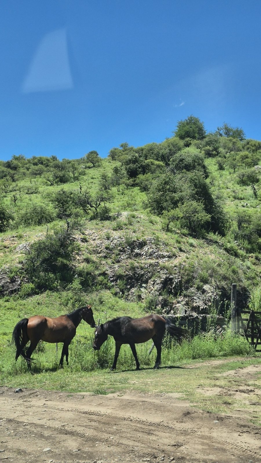 Terreno de 0,5 ha en El Campito (Terreno): foto 4
