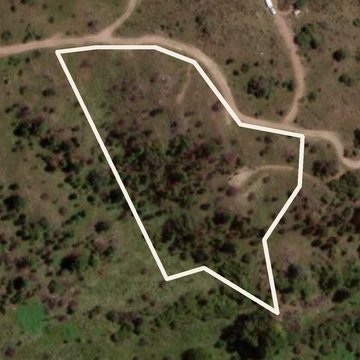 Terreno de 1 ha en Nogales Alto (Lote 25)