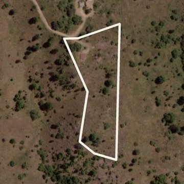 Terreno de 1 ha en Nogales Alto (Lote 11)